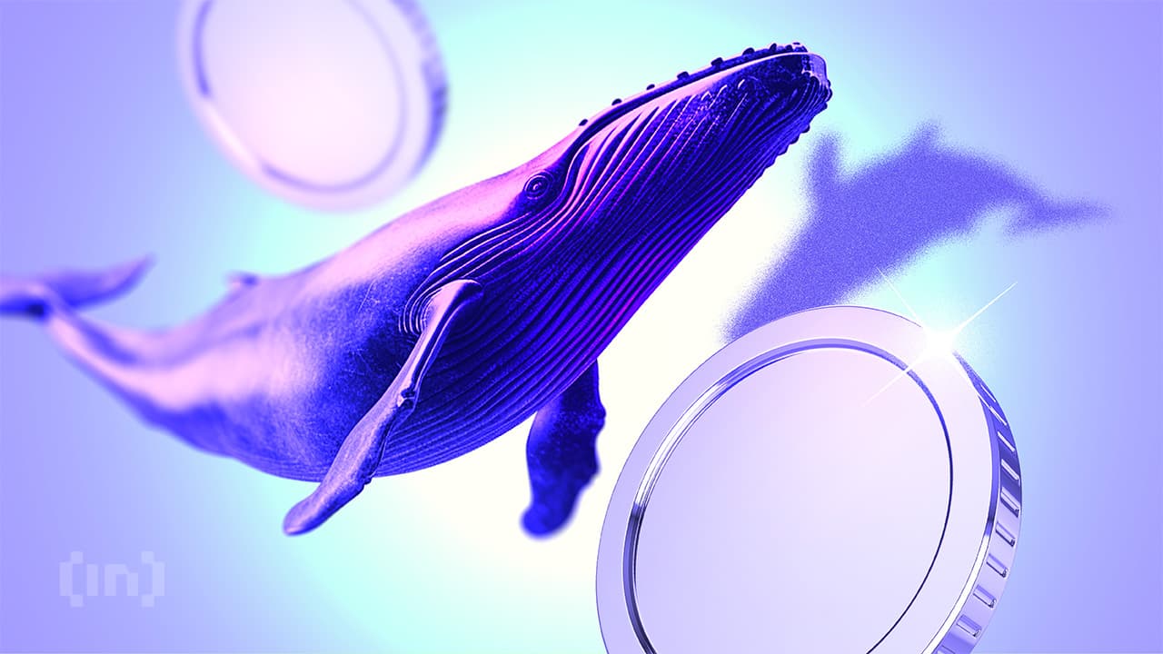 Exec ने क्रिप्टो में अत्यधिक Whale प्रभाव को कम करने के तरीकों पर चर्चा की