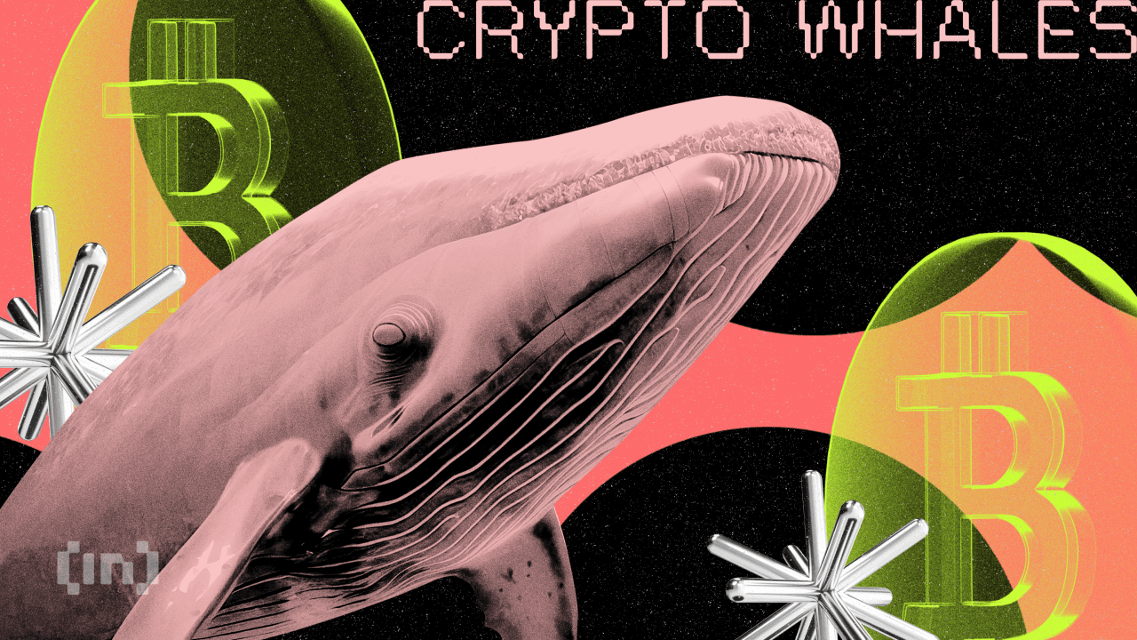 The White Whale और MEXC के साथ इंटरव्यू – $3 मिलियन फ्रीज्ड फंड्स के पीछे की सच्चाई