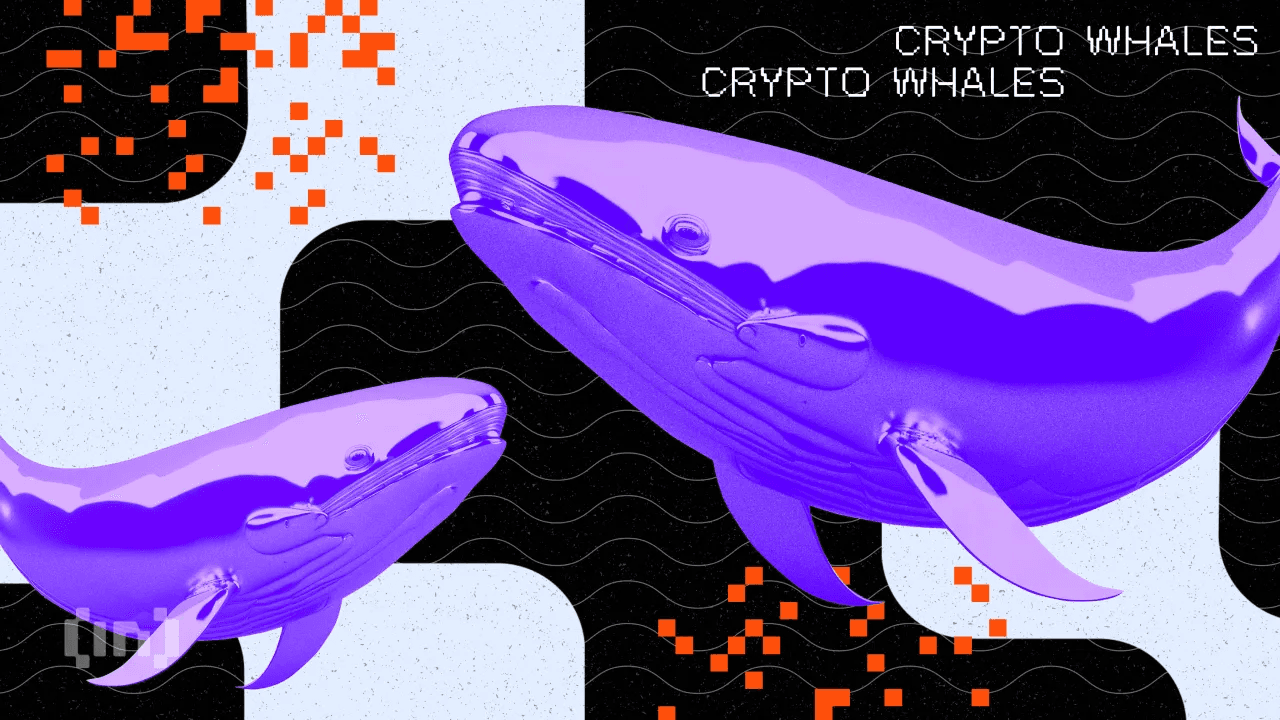 क्या Justin थे? XPL Hyperliquid पर 200% उछला जब Whale ने ऑर्डर बुक साफ की