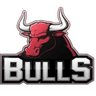 Bulls