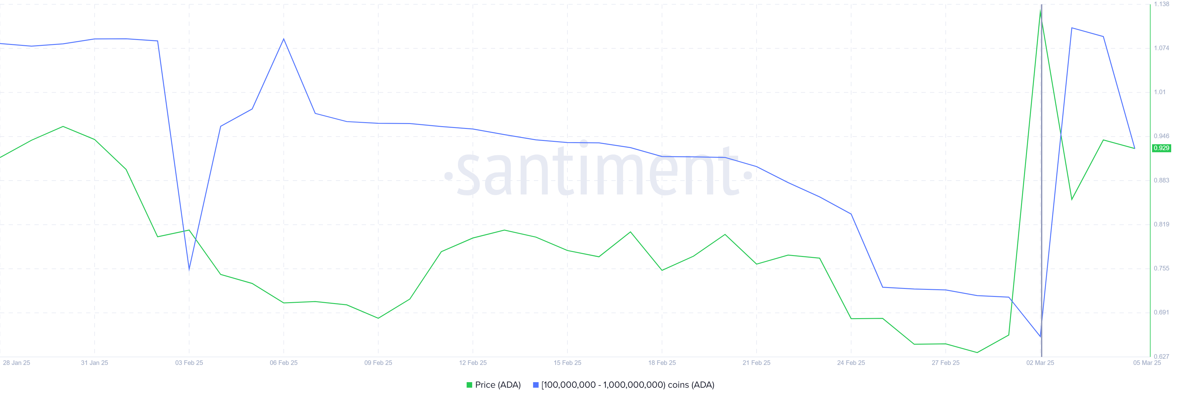 Cardano Whale Holding