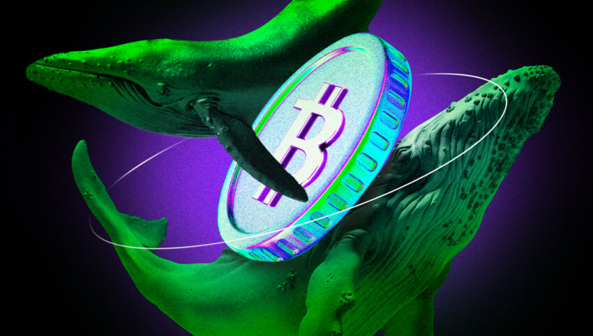 Bitcoin Whale ने Hyperliquid पर $1.25 बिलियन का लॉन्ग दांव लगाया