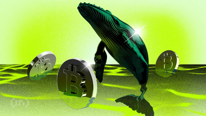 नए Bitcoin Whales के पास अब BTC कैपिटल का अधिकांश हिस्सा | साप्ताहिक Whale Watch