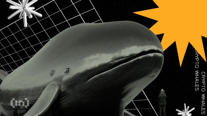 Ethereum Whales में मतभेद – ETH निवेशकों के लिए आगे क्या?
