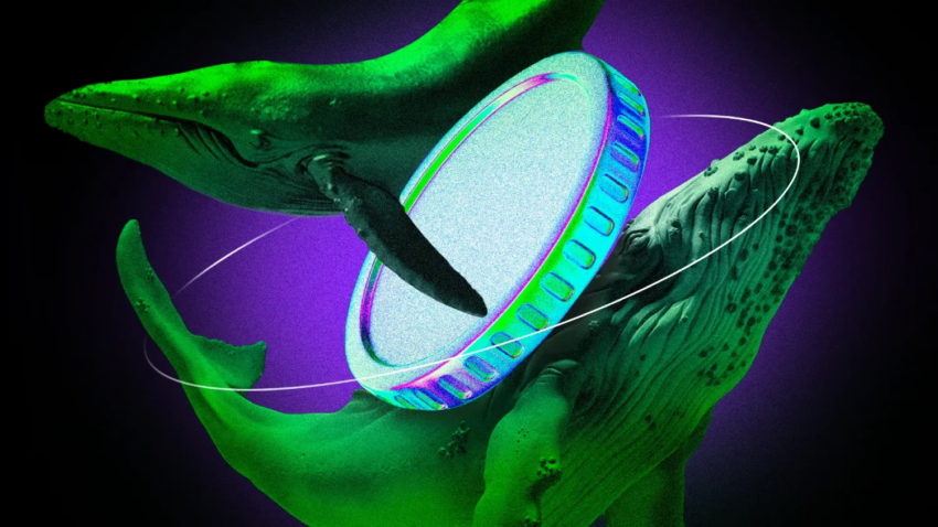 Altcoin सेल-ऑफ़: Whales ने वीकेंड में लाखों का अनलोड किया