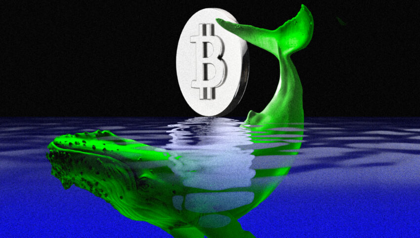 Bitcoin की रैली में US खरीदारों का बड़ा योगदान — क्या मार्केट में जोखिम है?