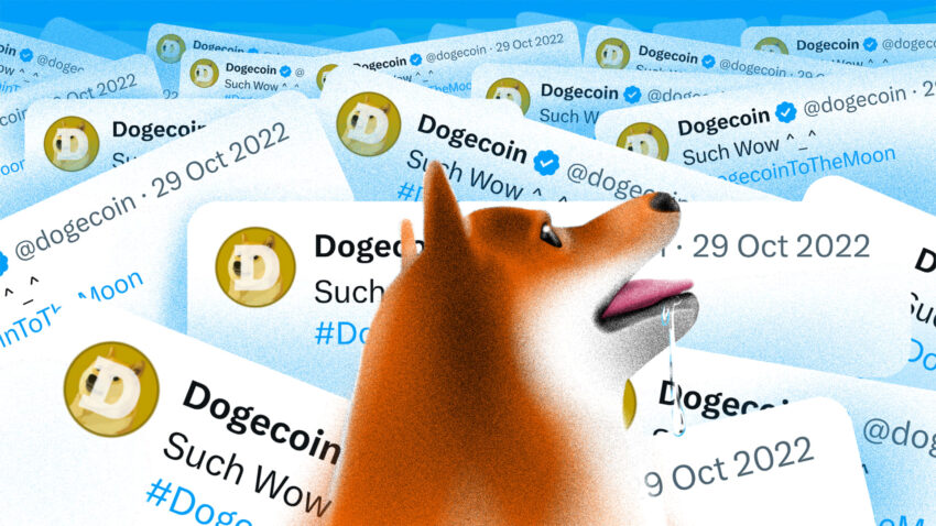 Dogecoin FOMO आने वाला है? अगस्त के प्रमुख कारणों पर नजर रखें